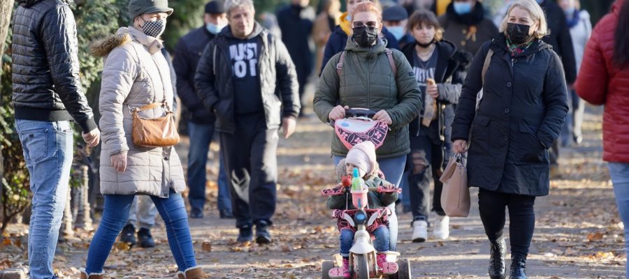 A Parábola da Figueira